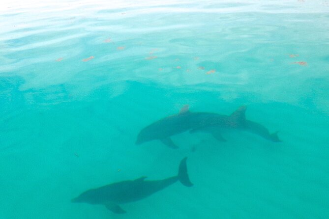 Sian Ka'an Boat Experience from Riviera Maya to Tulum - Why Sián Kaan works best by boat