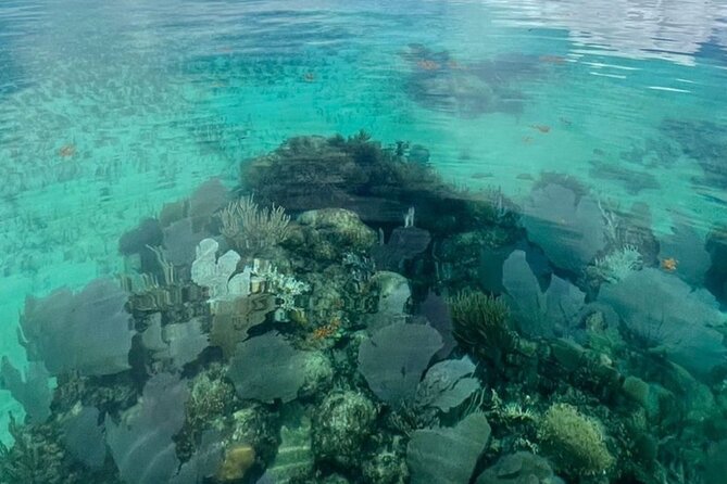 Sian Ka'an Boat Experience from Riviera Maya to Tulum - Punta Allen gives the outing a human side