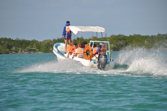 Sian Ka'an Boat Experience from Riviera Maya to Tulum - The early start from Playa del Carmen