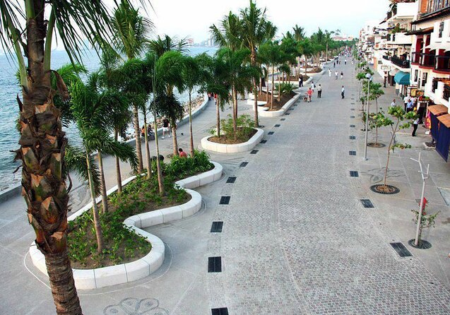 Signature Taco Tour in PV with Vallarta Eats - Key Details Before You Book