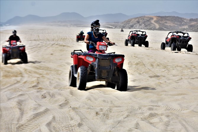 Single ATV Tour from Migriño Beach & Desert - More than 50 cactus types along the route