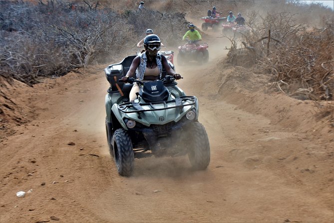 Single ATV Tour from Migriño Beach & Desert - Two ocean stops during whale season