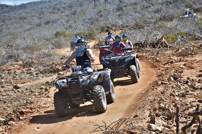 Single ATV Tour from Migriño Beach & Desert - A small group, but not a private guide