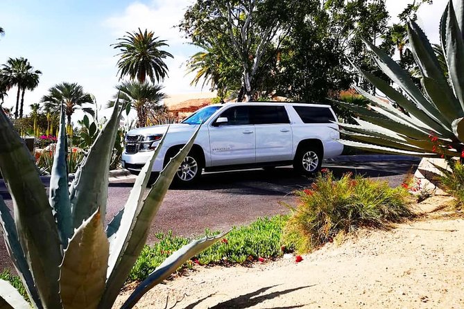 SJD Airport to Cabo San Lucas - One way service - Who Should Book This Transfer