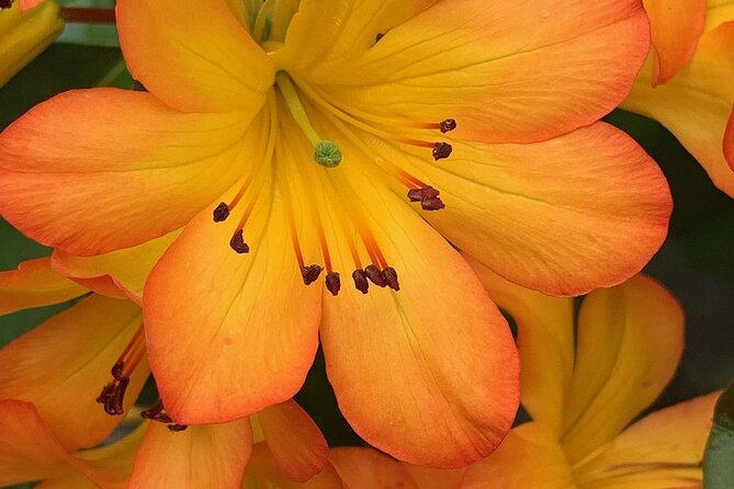 Skip the Line: Vallarta Botanical Garden Admission Ticket - Swimming in Los Horcones River