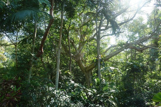Skip the Line: Vallarta Botanical Garden Admission Ticket - Practical preparation for a comfortable visit