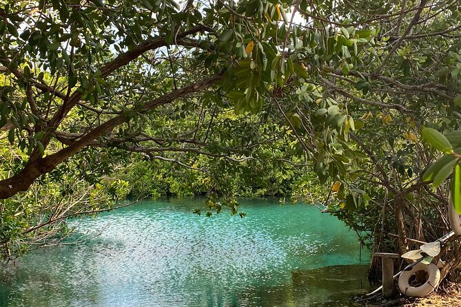 Small-Group 3 Cenotes Adventure Tour - The private underground cenote experience