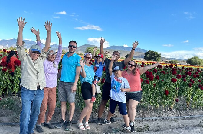 Small Group Boerve del Agua and Mezcal Tour from Oaxaca Centro - Hierve el Agua: pools, terraces, and self-guided walks