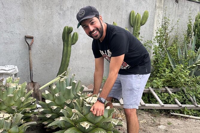 Small Group Boerve del Agua and Mezcal Tour from Oaxaca Centro - What the $71.69 price really covers