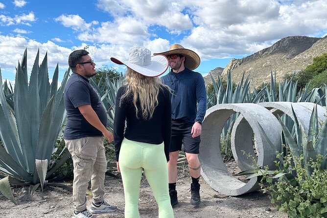 Small Group Boerve del Agua and Mezcal Tour from Oaxaca Centro - Who will enjoy this Oaxaca day trip?