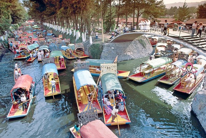 Small Group: Discover Xochimilco, Coyoacán, Frida Kahlo Museum and House - Coyoacán, with only enough time to get a taste
