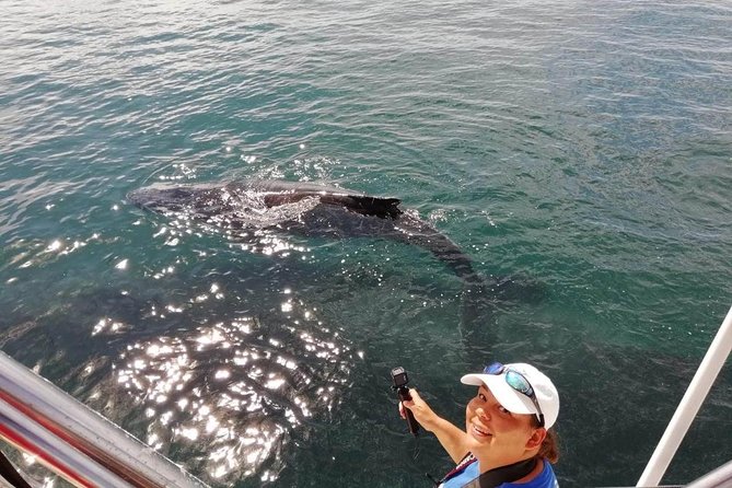 Small-Group Half-Day Whale-Watching Tour in Puerto Vallarta - The science behind the splashes