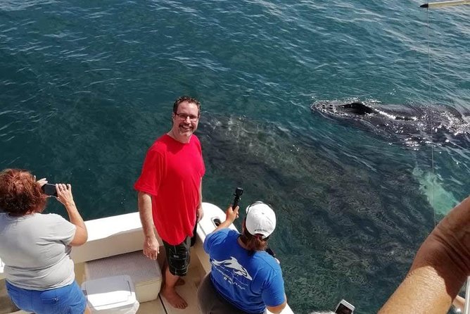 Small-Group Half-Day Whale-Watching Tour in Puerto Vallarta - Is $110 a fair price?