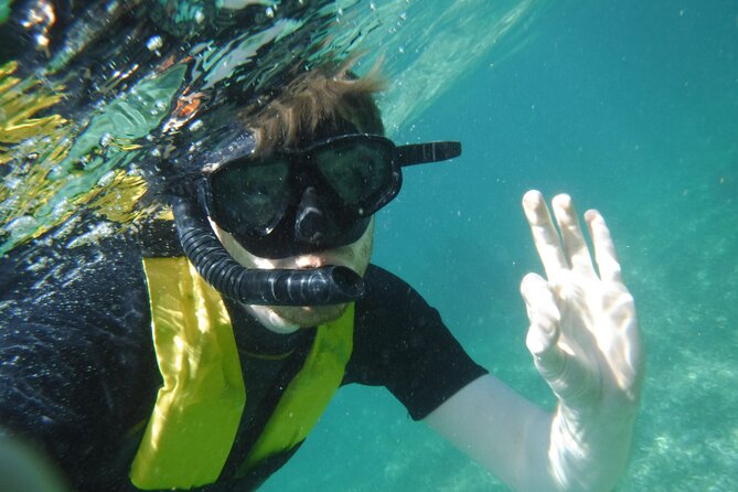Small-Group Mesoamerican Barrier Reef Snorkeling in Puerto Morelos - Price, timing, and getting there