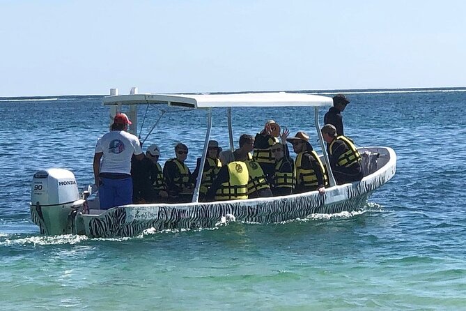 Small-Group Mesoamerican Barrier Reef Snorkeling in Puerto Morelos - Who should choose this reef trip