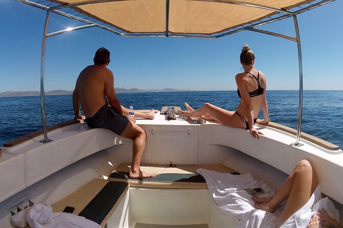 Small-Group Snorkel Adventure in San Jose del Cabo - What the guides add to the morning