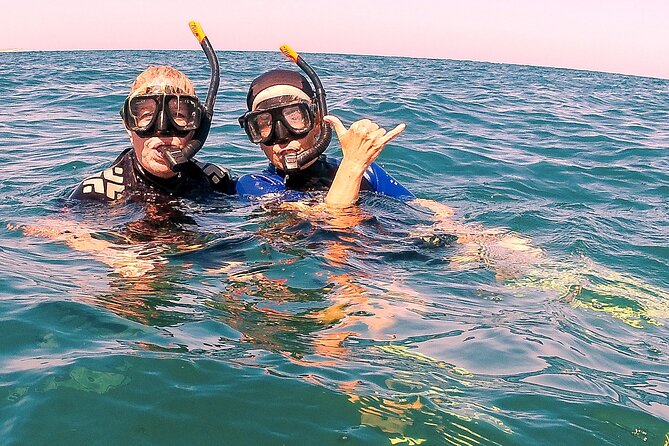 Small-Group Snorkel Adventure in San Jose del Cabo - The main drawback: travel time and changing visibility