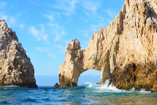SMALL GROUP Whale Watch | Cabo San Lucas | Biologist | FREE Pics - Best timing and the whale guarantee