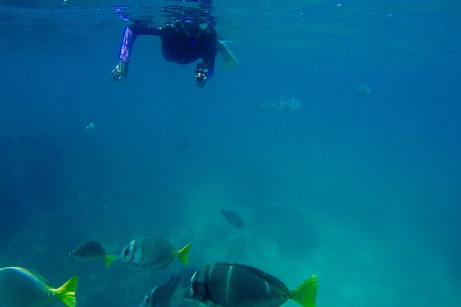 Snorkel Adventure and Hike to a Hidden Beach - Why the small group matters