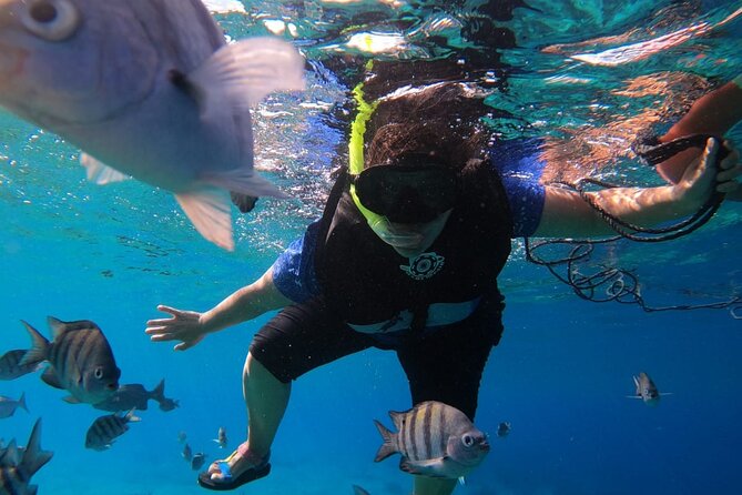 Snorkel along the coast, explore two reefs by Chivis del Mar - A strong deal at $35.85