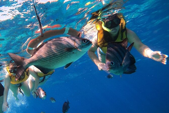 Snorkel along the coast, explore two reefs by Chivis del Mar - What to bring, and what not to bring