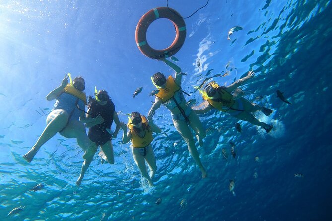 Snorkel along the coast, explore two reefs by Chivis del Mar - Dzul-Ha Reef adds a second view of the coast