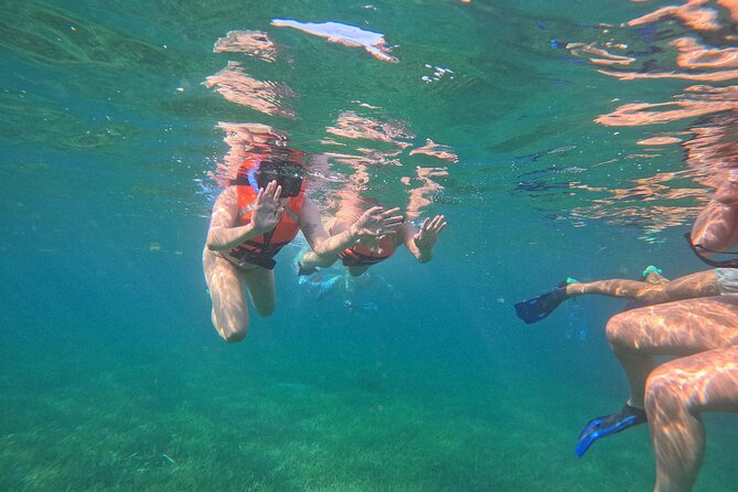 Snorkel at the Reef 2 HOURS Puerto Morelos National park - Who Will Get the Most From This Trip