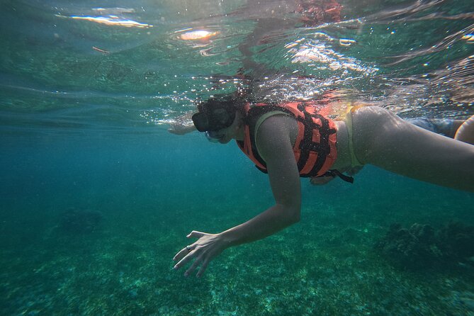 Snorkel at the Reef 2 HOURS Puerto Morelos National park - What the Two Hours Actually Feel Like
