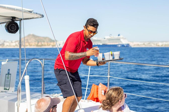 Snorkel Cruise in Los Cabos - Hotel pickup, cruise timing, and check-in tips