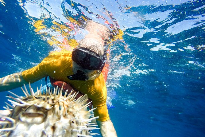 Snorkel & Explore Pelican Rock by Glass Boat + Photos - How much snorkeling time will you really get?