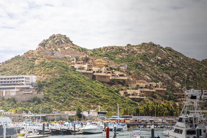 Snorkel & Explore Pelican Rock by Glass Boat + Photos - Is $125 a fair price?
