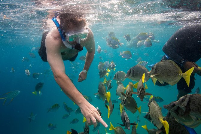 Snorkel & Explore Pelican Rock by Glass Boat + Photos - Who will enjoy this Cabo outing most?