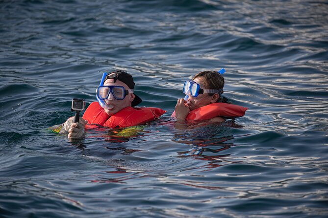 Snorkel, Lunch & Sail in Cabo San Lucas - Booking, weather, and timing advice