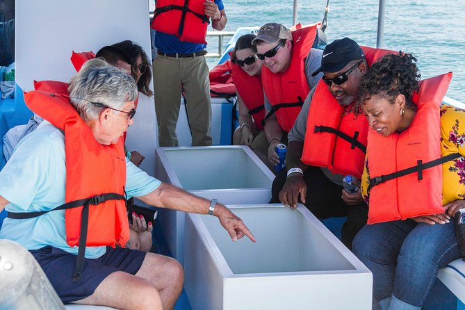 Snorkel Tour and Glass-Bottom Boat Ride in Cabo San Lucas - The glass-bottom boat question