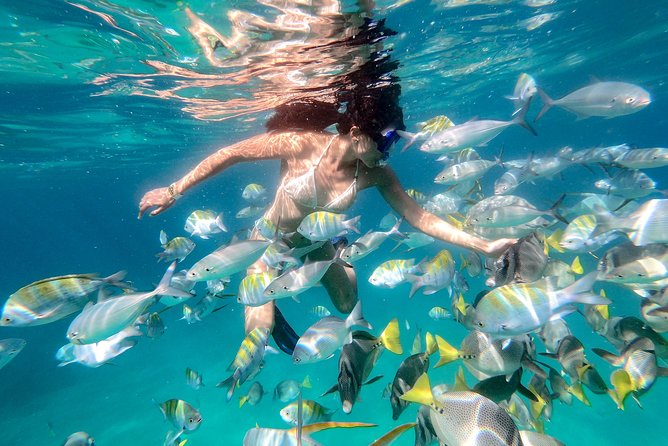 Snorkel Tour and Glass-Bottom Boat Ride in Cabo San Lucas - Lunch, water, and what to pack