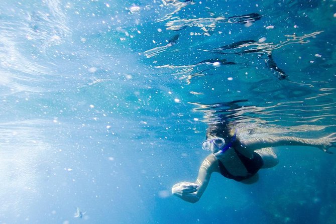 Snorkel Tour and Glass-Bottom Boat Ride in Cabo San Lucas - Does the five-hour schedule offer good value?
