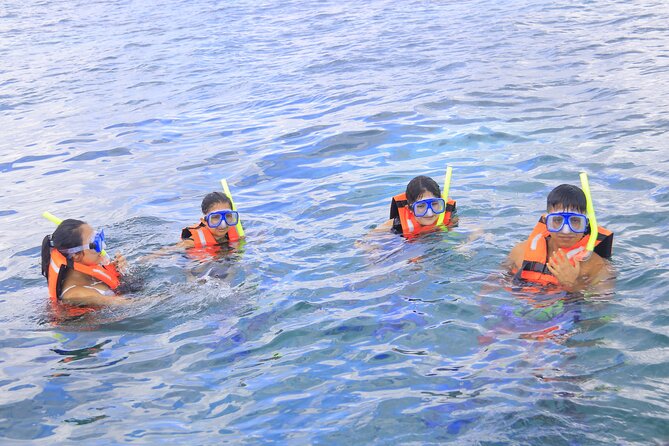 Snorkeling Adventure in Puerto Morelos Includes snack, Water and Round Trip. - How much value do you get for $44.25?