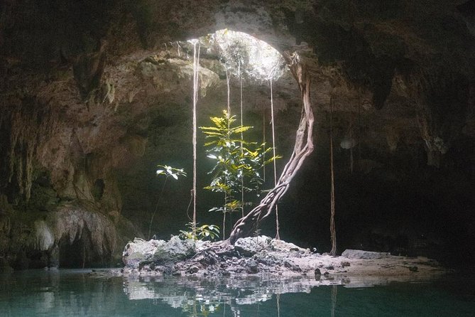 Snorkeling Adventure Tour Reef & Cenote - Guides make a big difference