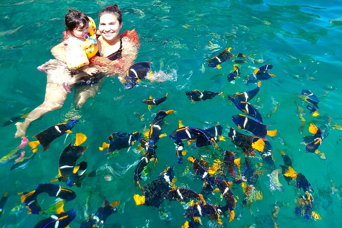 Snorkeling at Los Arcos 5 islands Hidden Beach and Cliff Jumping - Should you book Snorkeling at Los Arcos?