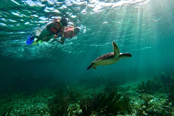 Snorkeling Guided Activity in Puerto Morelos Mexico - Why Puerto Morelos works so well for a short snorkel trip