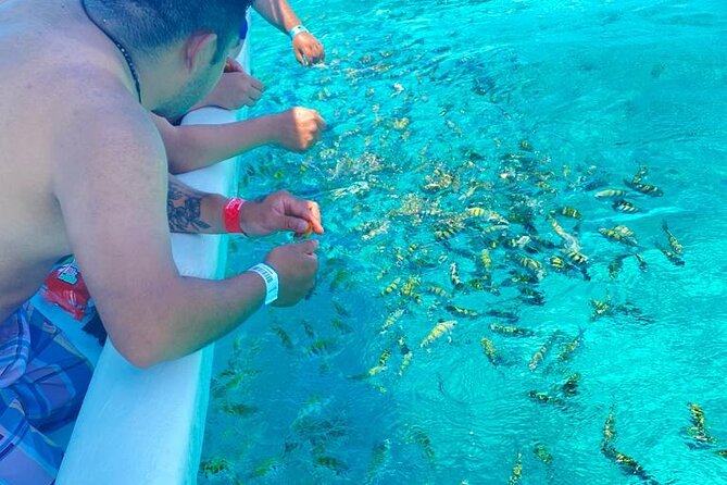 Snorkeling in Isla Mujeres and Underwater Museum - Getting to the meeting point on time