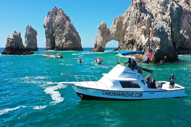 Snorkeling or Swimming with Sharks in Cabo San Lucas - Is the small group worth the price?
