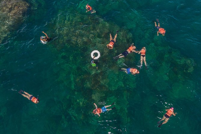 Snorkeling tour in Cabo San Lucas - What this Cabo cruise is really about