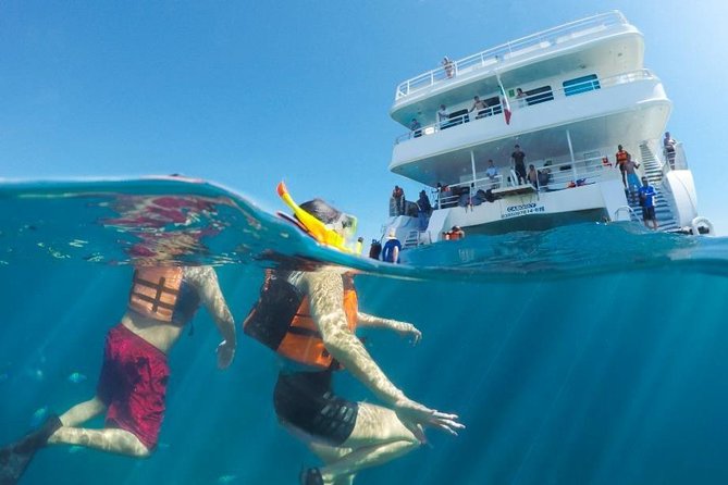 Snorkeling tour in Cabo San Lucas - Starting at Paseo de la Marina
