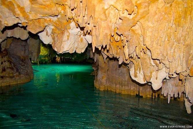 Snorkeling with Caribbean fish and private cenote exploration - Pickup, timing, and the extra transport charges