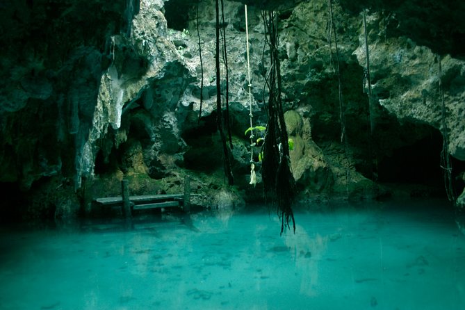Snorkeling with Caribbean fish and private cenote exploration - Who should book this experience