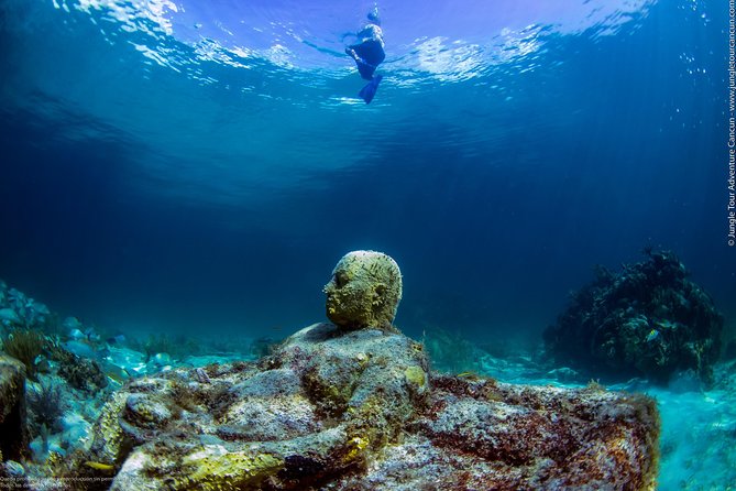 Speedboat and snorkel tour: Single Passenger Boat - What the $110 price really covers