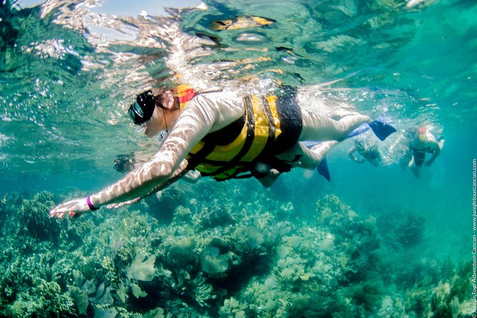 Speedboat and snorkel tour: Single Passenger Boat - Is this Cancun speedboat tour worth booking?