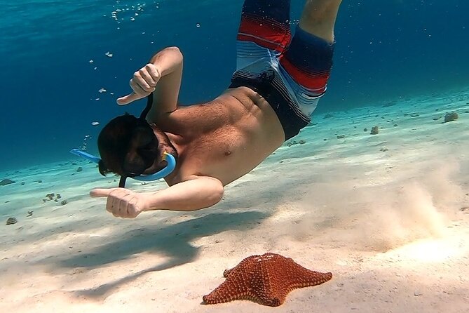 Starfish, Stingrays and the Turtle Sanctuary Snorkel Tour - El Cielito and the stingray encounter