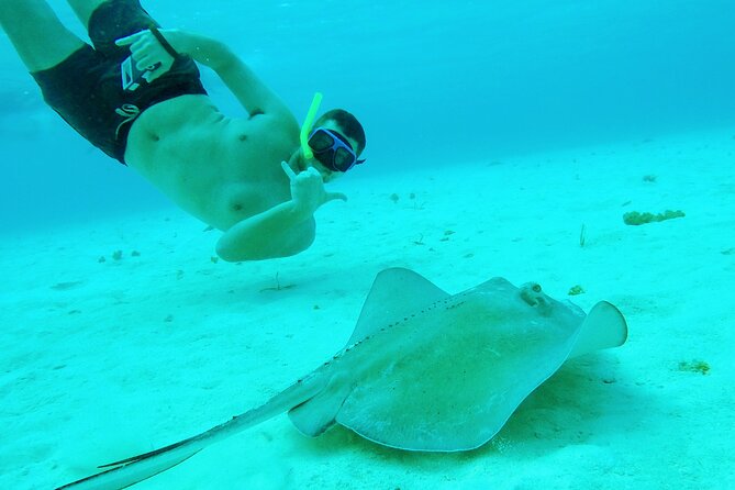 Starfish, Stingrays and the Turtle Sanctuary Snorkel Tour - Guides make a real difference for beginners